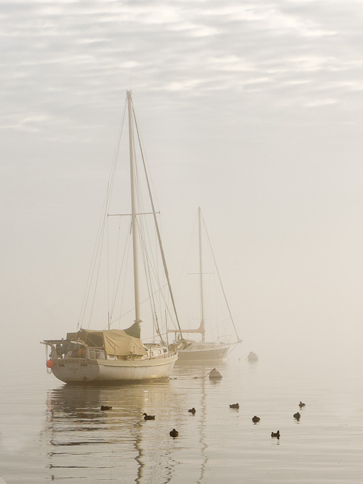 07-ChrisDrew-A-a-foggy-morning